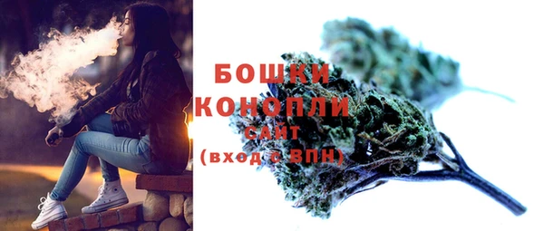 дживик Гусиноозёрск