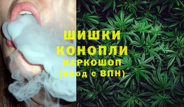 кокс Гусь-Хрустальный