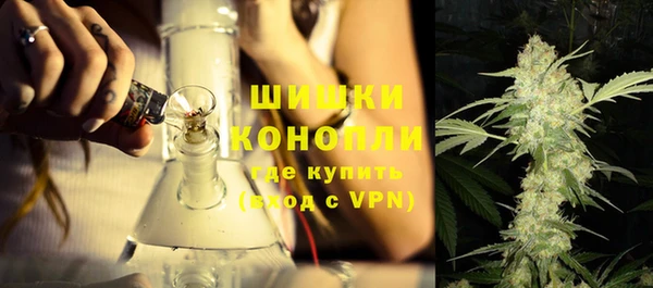 дживик Гусиноозёрск