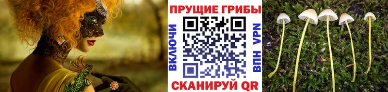 Галлюциногенные грибы Magic Shrooms Яровое
