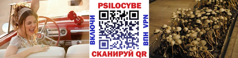 где купить наркотик  Яровое  Псилоцибиновые грибы Psilocybine cubensis 